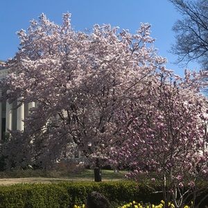 Meet your Posher, Carrie